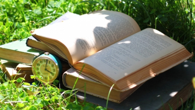 Quali sono le specializzazioni in italiano L2