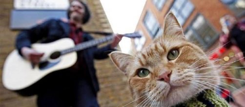 James tocando en plena calle con Bob.