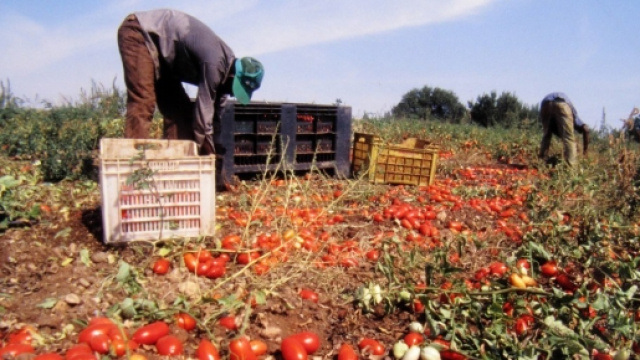 Vittime dello sfruttamento sul lavoro in Puglia