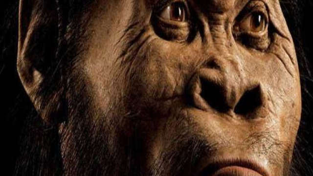 Homo Naledi, nuova specie umana