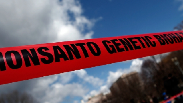 Monsanto riconosciuta colpevole di avvelenamento