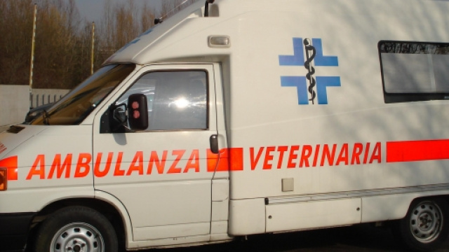 Pistoia: nasce l&rsquo;ambulanza veterinaria.
