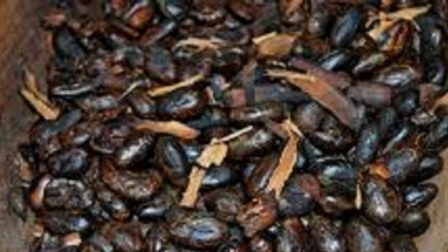 Dai semi di cacao l'elisir di lunga vita