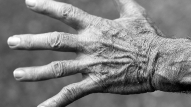 Pensioni opzione donna intervista Dianella Maroni
