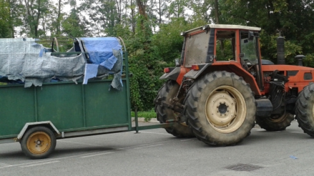 Trattore e rimorchio per il trasporto del bovino