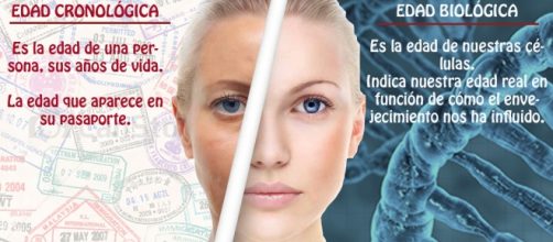 Edad cronol&oacute;gica y biol&oacute;gica: an&aacute;lisis de sangre