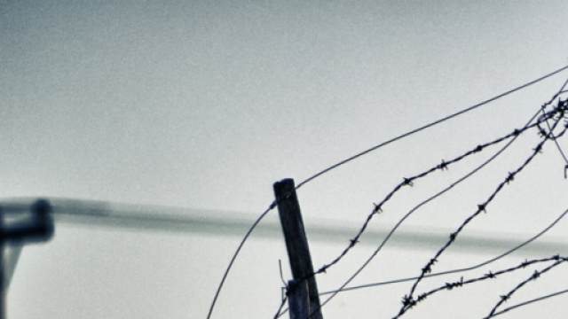 Filo spinato nella frontiera dell'Ungheria