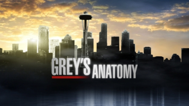 Grey's Anatomy 12 esordisce il 24 settembre