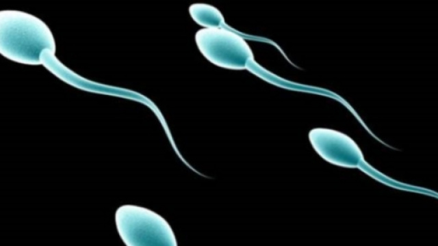 La fonte della vita riprodotta in vitro?
