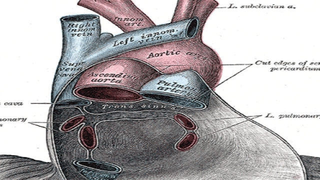 La cura dopo infarto col cerotto rigenerante
