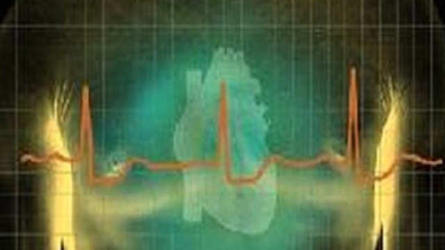 Rilevata proteina ''chiave'' per riparare il cuore