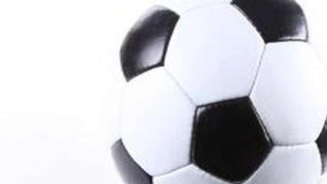 Conosciamo meglio il Bologna 2015-2016