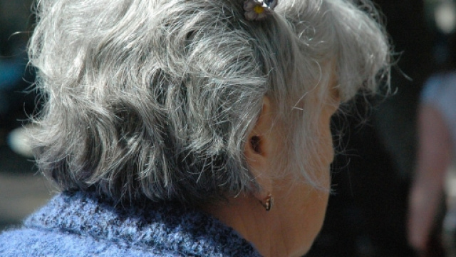 Pensioni 2015, in 50000 senza 14esima