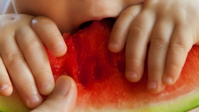 Dieta vegetariana per i piccoli, Veronesi dice s&igrave;.