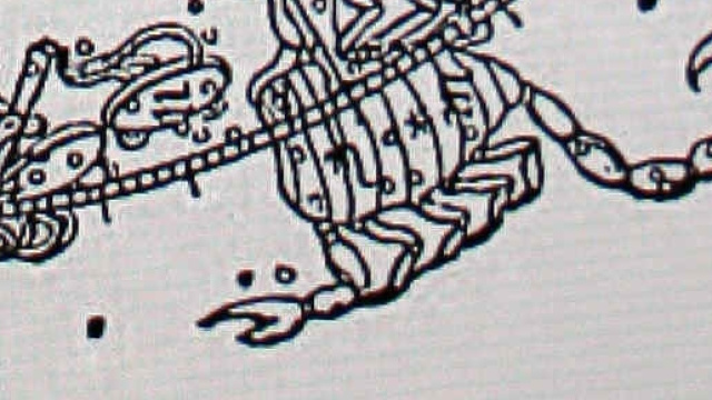 Gli ambiziosi della cuspide bilancia - scorpione