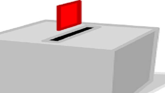 Andremo presto a votare i referendum?