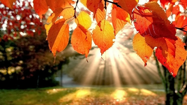 Autunno 2015: equinozio, eclissi, ora solare