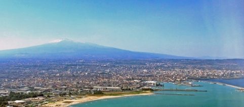 Agata, gattina coraggiosa: ha intrapreso un viaggio lungo 500 chilometri