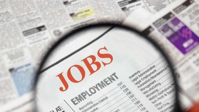 Lavoro, tirocini retribuiti: info utili