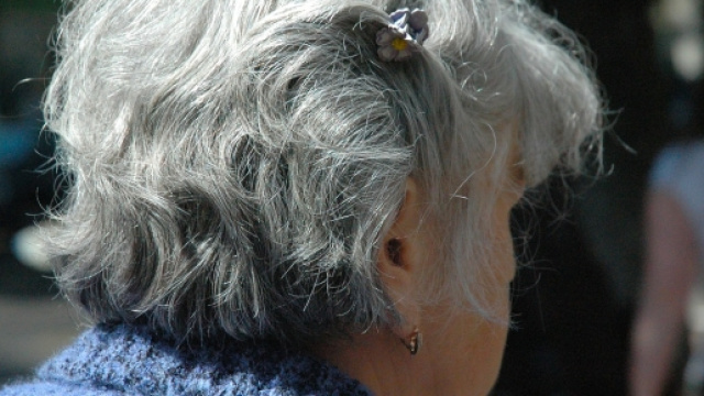 Pensioni, ultime news al 2379 da Damiano