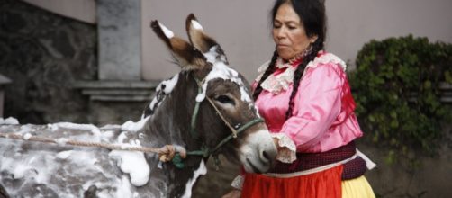 Atriz era considerada s&iacute;mbolo da cultura mexicana