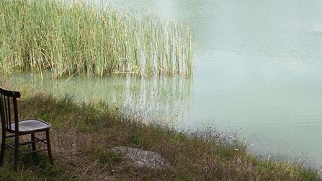 Jacopo Benci Lontano e luminoso 2009