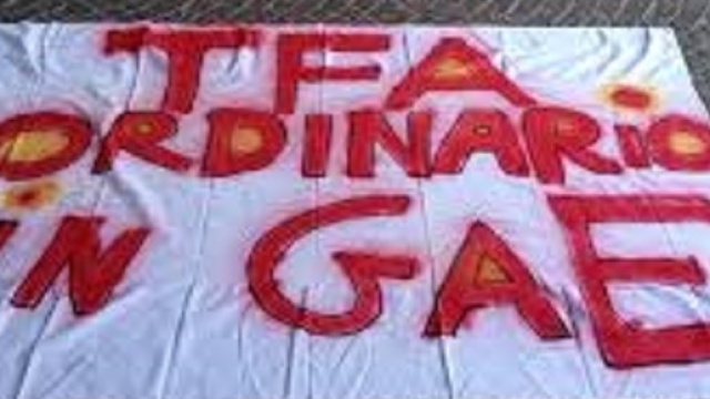 Inserimento GaE: verit&agrave; ordinanze per TFA e PAS