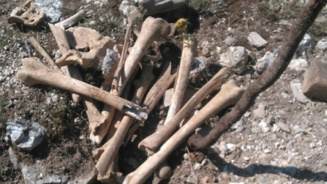 Le ossa umane trovate presso l'Eremo di S. Martino