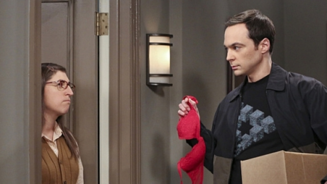 The Big Bang Theory 9x02, Amy e Sheldon