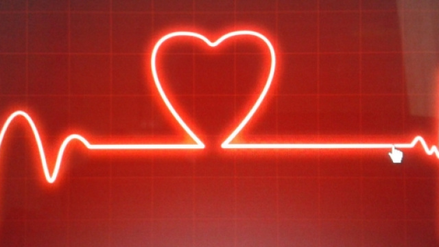 In figura un elettrocardiogramma con un cuore