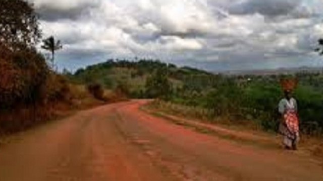 Giogo politico e forzata ignoranza