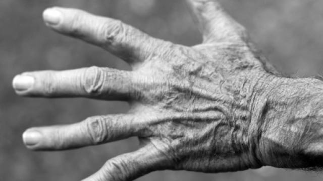 Pensioni anticipate, no di Damiano al costo zero