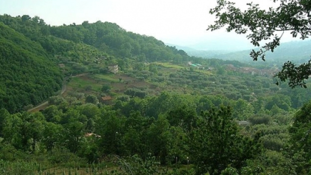 Sud Italia: alla ricerca di lavoro