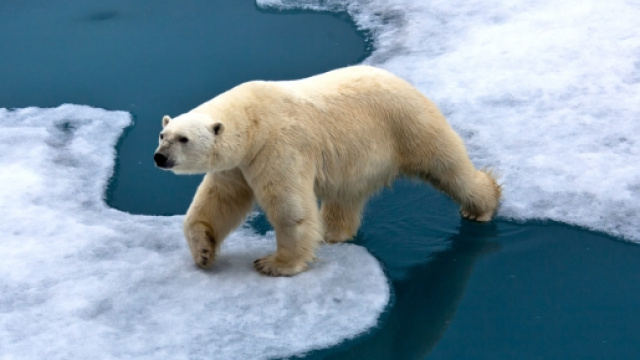 Climate Change and Global Warming.
