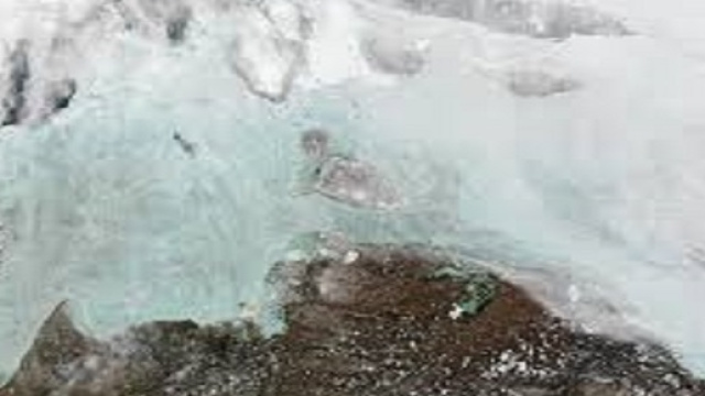 Lo scioglimento dei ghiacci in Siberia