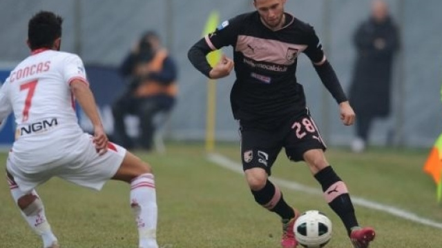 Palermo - Carpi, probabili schieramenti e quote