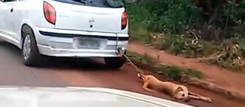 Motorista foi levado para delegacia e multado