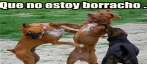 El alcoholismo es incurable, progresivo y mortal