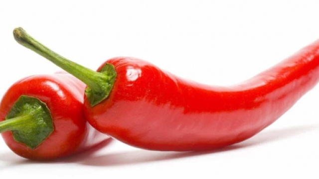 Wilbur Scoville celebrato dal doodle