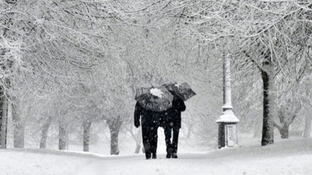 Arriva il freddo polare da met&agrave; gennaio.