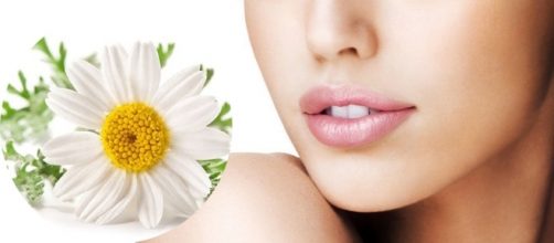 Mantener la piel perfecta con manzanilla