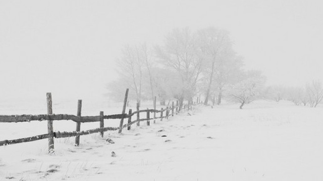 Arriva il freddo a partire dal 15 gennaio.