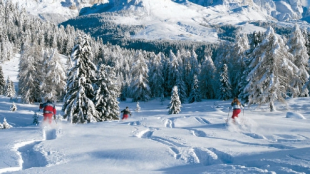 Il bianco della neve e l'azzurro del cielo.