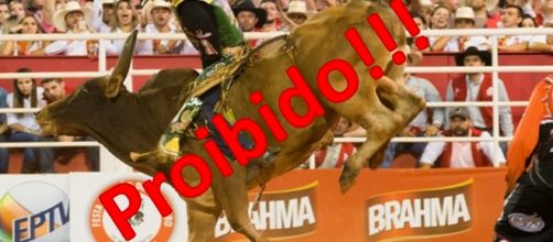 O fim dos maus tratos de animais em Barretos