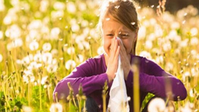 Evoluzione: le allergie dall'homo di Neanderthal?