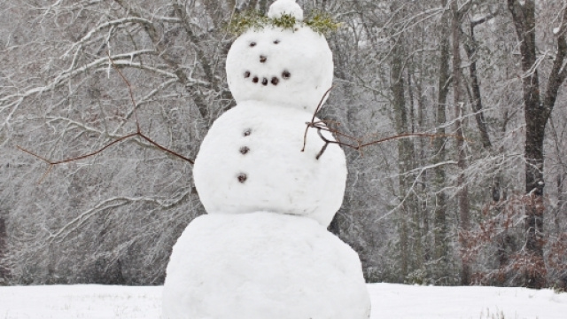 Fotografia presa da internet, di un pupazzo.