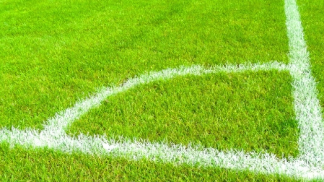 Pronostici Ligue1 16 gennaio, Psg in trasferta.