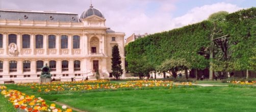 Vista del jard&iacute;n bot&aacute;nico y el museo