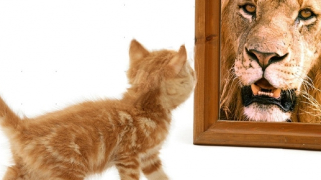 L'autostima in base al genere e l'et&agrave;