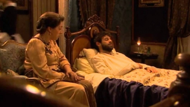 Il Segreto: Bosco ferito, Francisca lo veglia